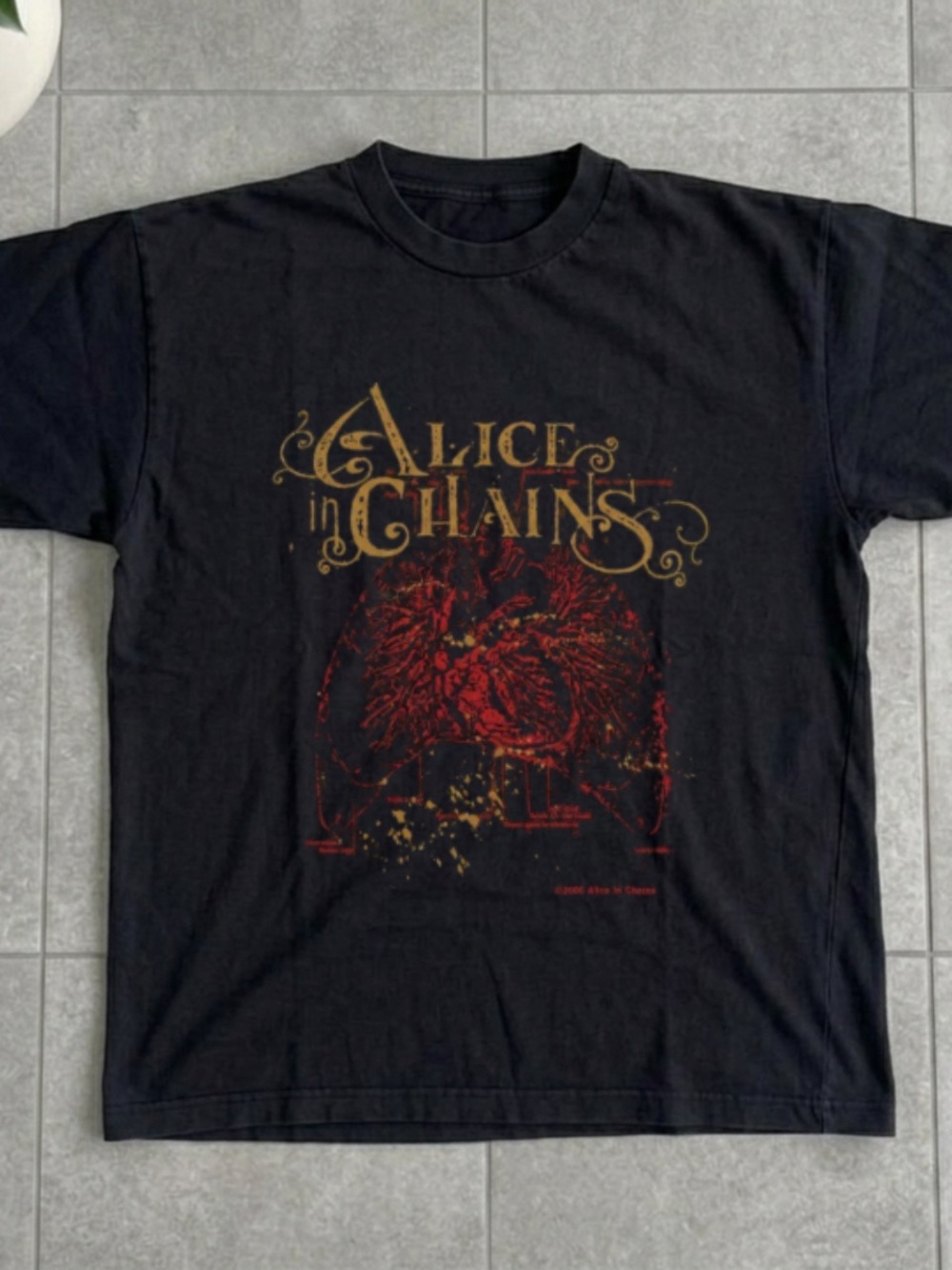 Gildan Black Alice In Chains Graphic Tee